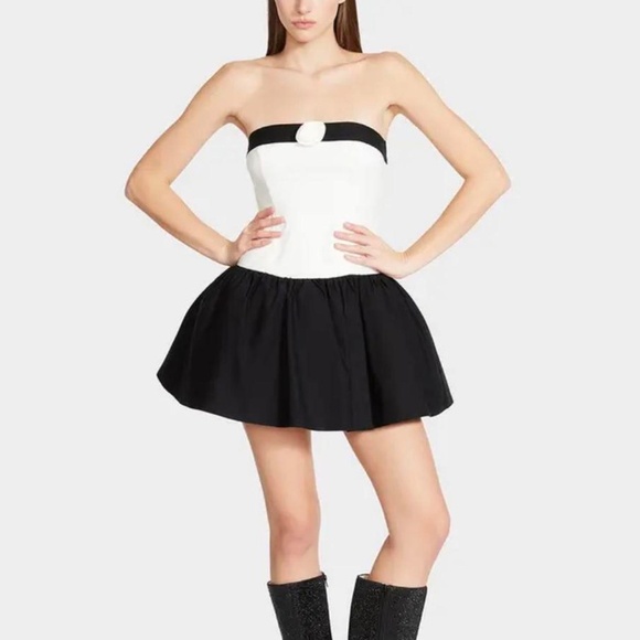 nwt, unworn - betsey johnson adoria rose mini dress - white black - size L - Picture 3 of 6